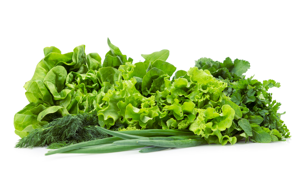resep sayur hijau sedrhana